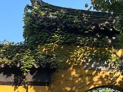 -西园戒幢律寺