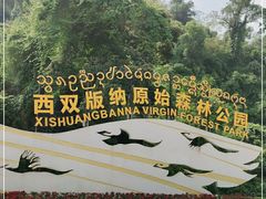 -西双版纳原始森林公园
