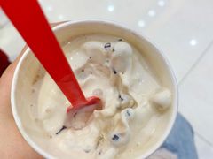 摩卡巧克力暴风雪-DQ·蛋糕·冰淇淋(领秀城店)