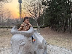 -诸城市恐龙博物馆