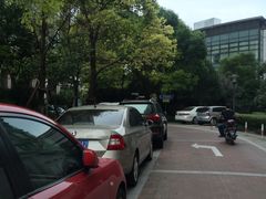 -新湖明珠城