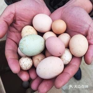 温州真正的高山散养本地土鸡蛋，环境清新，无污染