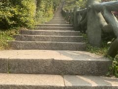 -梧桐山风景名胜区