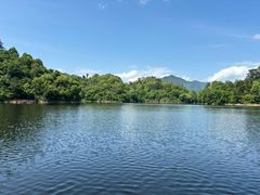 -千岛湖东南湖区