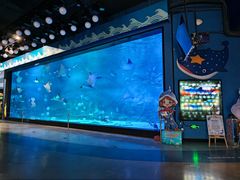 -烟台海昌鲸鲨海洋公园
