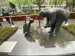 -浙江大学医学院附属第二医院(解放路院区)