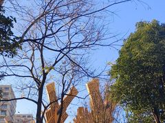 -七彩云南古滇温泉山庄