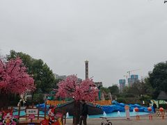 -南湖梦幻岛