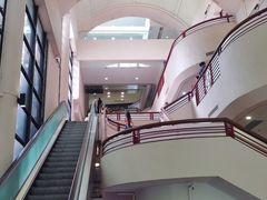 -香港大学