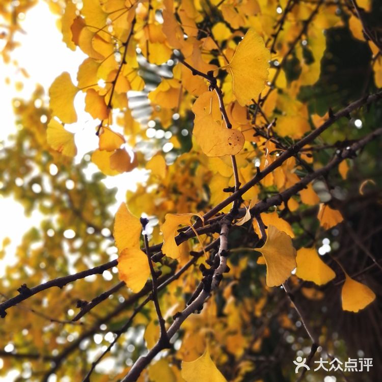 熏仔在杭州|杭州朝晖文化主题公园打卡攻略