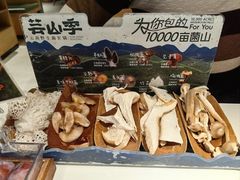 -芸山季·云南山珍菌火锅(南翔印象城MEGA店)