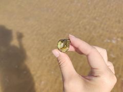 -仙浴湾广场