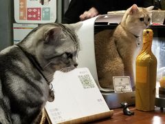 -咖法森林·咖啡  酒吧(天河店)