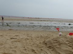 -北海金海湾红树林生态旅游区