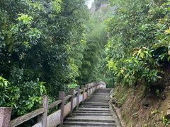 -雁荡山大龙湫景区