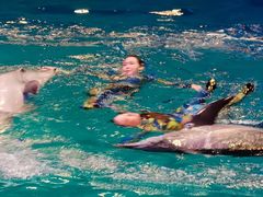 -芜湖新华联大白鲸海洋公园