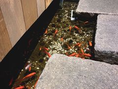 -邈墨茶馆(凤起路店)