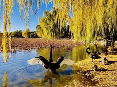 -圆明园遗址公园-藻园门售票处