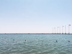 -碧海金沙