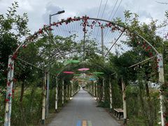 -上海长兴岛郊野公园