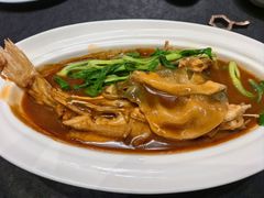 红烧河豚鱼-新光酒家·河豚·海鲜·蟹料理(浦东店)