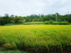 -北坞公园