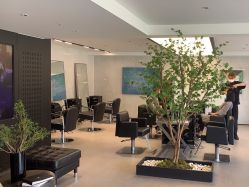 点击看大图 -付军剪艺JF ProSalon