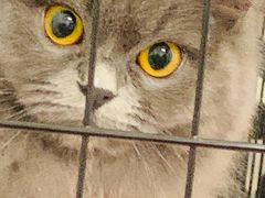 -美美酱宠物(外运路小区店)