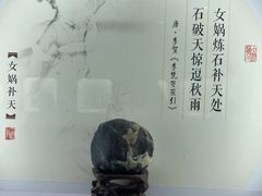 -上海滨江森林公园