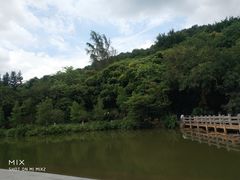 -云溪植物园
