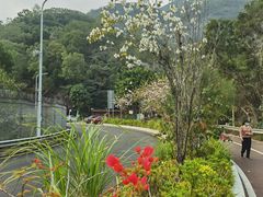 -梧桐山风景名胜区