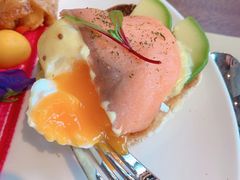 -Magnet磁食(同德店)