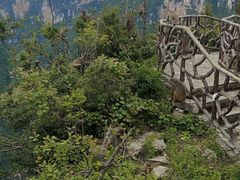 -重庆云阳龙缸景区