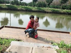 -上海长兴岛郊野公园