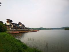 -美的鹭湖森林度假区