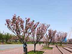 -上海山野camping·户外天幕烧烤·团建拓展营地