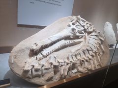 -抱璞文化展示中心