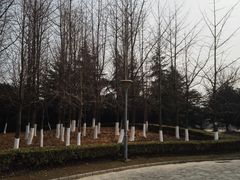 -上海大学宝山-图书馆