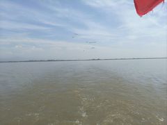 -哈素海