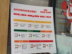 -瑞派名望志远动物医院·猫科·內科·异宠专科(直港大道店)
