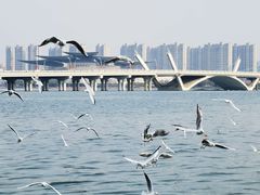 -蠡湖大桥公园