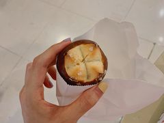 海盐碱水-WHEN PIGS FLY当猪飞
