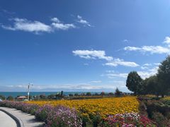 -青海湖国家重点风景名胜区