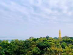 -广州莲花山旅游区
