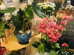 -Libra Flora花店(骆岗中央公园店)