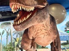 -陕西自然博物馆