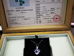 -彩虹桥宠物火化殡葬善终服务(金乐大厦店)