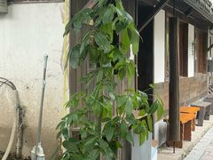 -竹子咖啡bamboo coffee