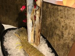 -鲜入围煮花胶鸡海鲜火锅