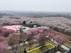 -古柏渡飞黄旅游区